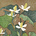 Takumi Ito Gallery